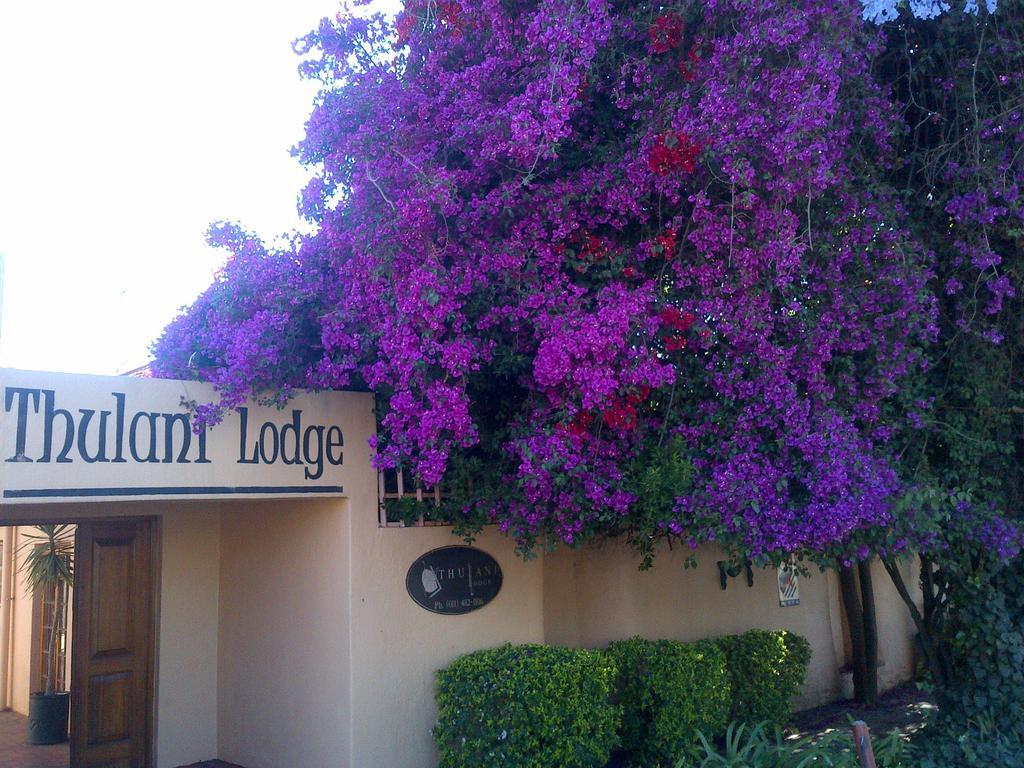 Thulani Lodge Johannesburg Exteriér fotografie